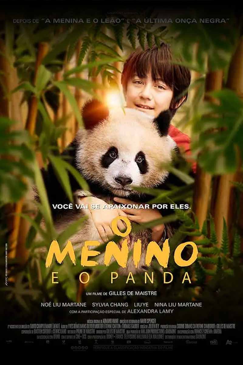 O Menino e o Panda